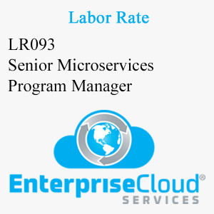 LR093 Senior Microservices Program Manager