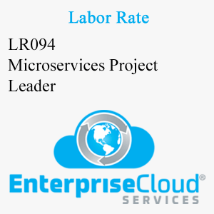 LR094 Microservices Project Leader