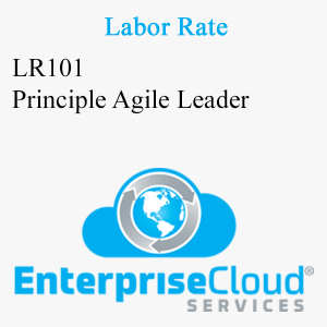 LR101 Principle Agile Leader